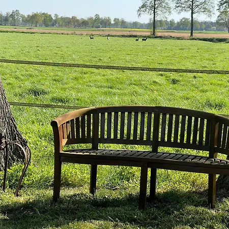 Hochwertiges In Mitten Der Wagenfeld
